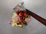 Tumis bunga pepaya