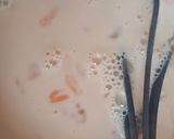 Foto del paso 2 de la receta: Flan casero en olla