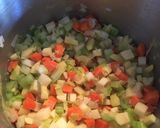 A picture of step 2 of Vegetable Stoup.