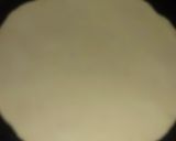 A picture of step 3 of Pizza parantha.