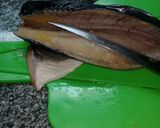 Foto del paso 1 de la receta: Pescado de arroyo al horno (bagre)