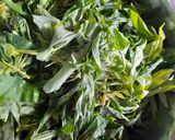 Foto langkah ke 3 dari resep Gule daun singkong jengkol.