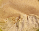 Foto del paso 6 de la receta: Panecillos Artesanos (con masa madre)