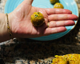 Foto del paso 5 de la receta: Bolitas de pollo con pistachos 🐣 🌰 🥜 🍀