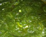 Palak Paneer with Very Less Masala recipe step 7 photo