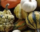 Une image de l'étape 7 de Couscous 🥩gastronomie oranaise🥕🧅🥔🥬.