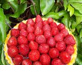 Foto langkah ke 4 dari resep Strawberry Tarlets.