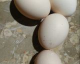 A picture of step 1 of Egg whites cookies(meringue cookies) baked in pateela oven.