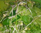 Hình bước làm 2 của món Mì Quảng Bò
