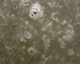 A picture of step 1 of Mint Margarita.