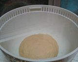 Foto langkah ke 2 dari resep Bakpao.