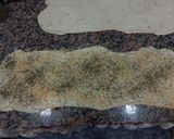 Foto del paso 5 de la receta: Grisines de queso