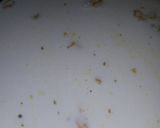 Foto del paso 8 de la receta: Moussaka con humita