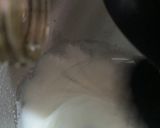 Foto del paso 3 de la receta: Oveja de merengues