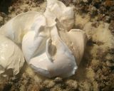 A picture of step 6 of Creamy Beef Casserole.