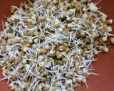 मुगाचे पौष्टीक धिरडे (Moongache Dhirde Recipe In Marathi) रेसिपी स्टेप 1 फोटो 