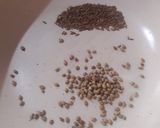 A picture of step 1 of Jeera Aloo.