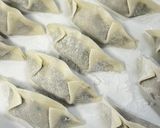 A picture of step 19 of Easy Gyoza Recipe: How to Wrap and Freeze.