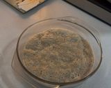 A picture of step 1 of Bread.