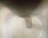 A picture of step 4 of Coconut Milk Shake.