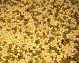 A picture of step 1 of Power Packed Laddu.
