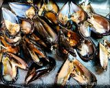 Foto del passaggio 3 della ricetta Cozze Ripiene al Sugo - Senza Glutine -