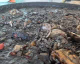 Foto del paso 7 de la receta: Arroz negro
