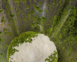 Foto del paso 2 de la receta: Panqueques de espinacas