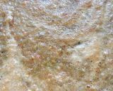 પિઝા (Pizza Recipe in Gujarati) રેસીપી સ્ટેપ3ફોટો