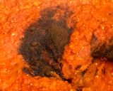 Foto langkah ke 3 dari resep Rendang Paru.