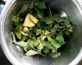 Mint chutney spicy and tangy recipe step 1 photo