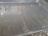 Gambas al horno