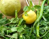 A picture of step 1 of Guava chutney.