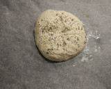 Foto del paso 5 de la receta: Pan tipo payés
