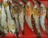 Foto langkah ke 2 dari resep Udang / Lobster Bakar💕.