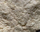 A picture of step 3 of Rasmalai Modak for Ganesh Chaturthi.
