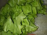 Wanpaku Sandwich Diet