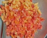 પપૈયા સાલસા (Papaya Salasa Recipe in Gujarati) રેસીપી સ્ટેપ3ફોટો