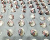 Foto langkah ke 8 dari resep Meringue.