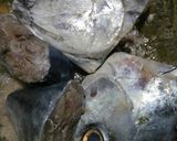 Foto langkah ke 1 dari resep Sup Ikan Tuna.