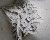 Foto del paso 2 de la receta: Pejerrey Frito