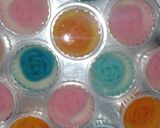 Foto langkah ke 4 dari resep Puding kaca mawar.