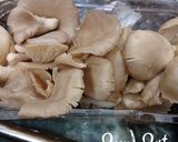 A picture of step 1 of Gnocchi with Oyster Mushroom and Winter Vegetables.