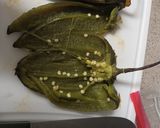 A picture of step 5 of Green Pasta.