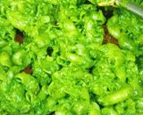 A picture of step 6 of Spinach Pesto Pasta.