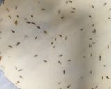 A picture of step 2 of One bite papri chana chat.