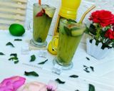 Cucumber coolermatakin girki1 hoto
