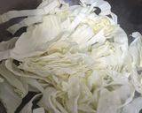 櫻花蝦炒高麗菜的食譜步驟3照片