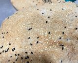 صورة لخطوة 13 من وصفة خبز الحبة الكاملة 🌾🌾🫓🫓🥙🥙🥙🥙🥙🥙🥙🥙