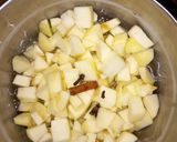 Hamis túrógombóc bodzás almaszósszal recept fázis 5 fotója